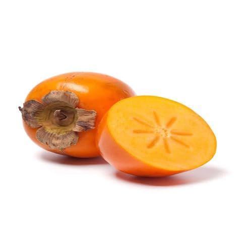 Orange Persimmon Seeds – Heirloom, Non-GMO, High Germination Organic Garden Seeds