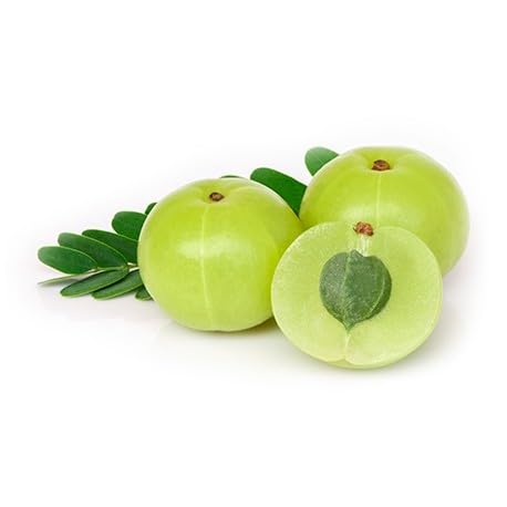 Gooseberry Seeds Green – Heirloom, Non-GMO, High Germination Organic Garden Seeds