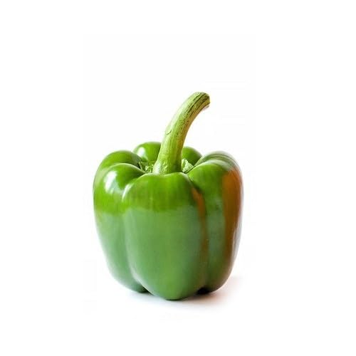 Green Capsicum Seeds – Heirloom, Non-GMO, High Germination Organic Garden Seeds Planting
