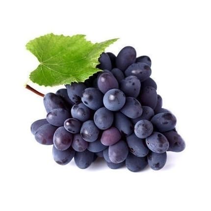 Black Grape Seeds – Heirloom, Non-GMO, High Germination Organic Garden Seeds