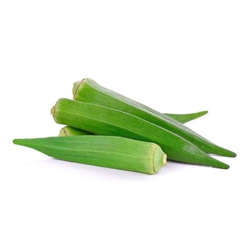Semillas de Okra Verde – Variedad tradicional, sin transgénicos, alta germinación para jardín orgánico