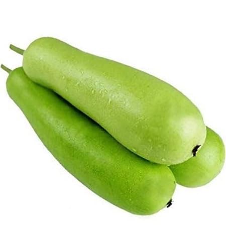 Bottle Gourd – Heirloom, Non-GMO, High Germination Organic Garden Seeds Planting