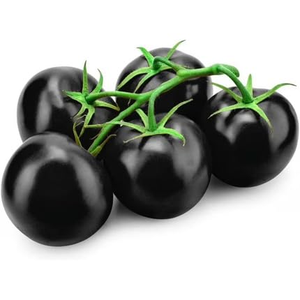Black Tomato Seeds – Heirloom, Non-GMO, High Germination Organic Garden Seeds Planting
