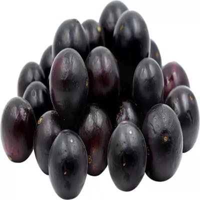 Jabuticaba Seeds – Heirloom, Non-GMO, High Germination Organic Garden Seeds