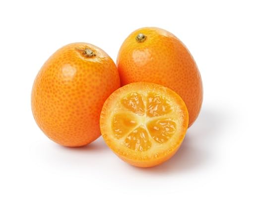 Orange Kumquat Seeds – Heirloom, Non-GMO, High Germination Organic Garden Seeds