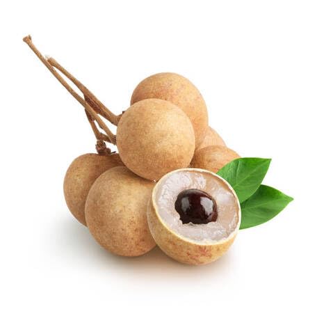 Brown Longan Seeds – Heirloom, Non-GMO, High Germination Organic Garden Seeds