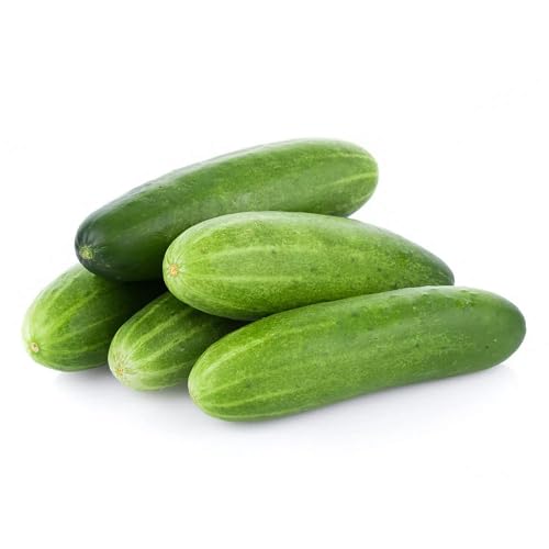 Cucumber Seeds – Heirloom, Non-GMO, High Germination Organic Garden Seeds Planting