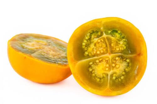 Lulo Seeds – Heirloom, Non-GMO, High Germination Organic Garden Seeds