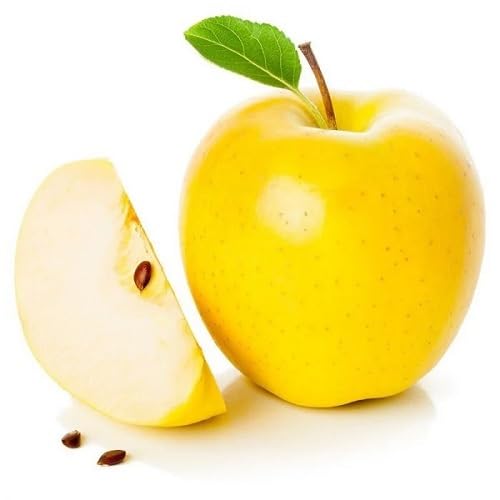Apple Seeds Yellow – Heirloom, Non-GMO, High Germination Organic Garden Seeds
