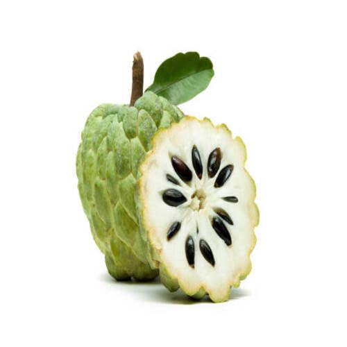 Green Custard Apple Seeds – Heirloom, Non-GMO, High Germination Organic Garden Seeds