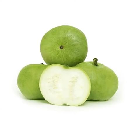 Green Tinda – Heirloom, Non-GMO, High Germination Organic Garden Seeds Planting