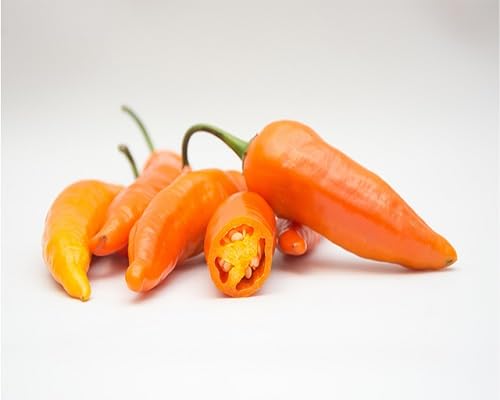 Orange Peach Pepper Vegetables Seeds – Heirloom, Non-GMO, High Germination Organic Garden Seeds Planting