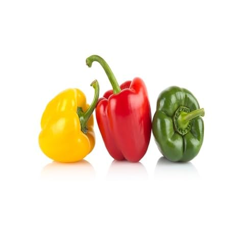 Mixed Pepper Seeds Heirloom Non-GMO High Germination Organic Garden Seeds for Planting