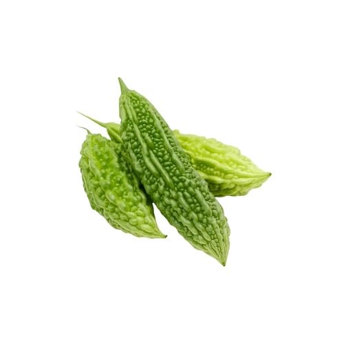 Green Bitter Melon – Heirloom, Non-GMO, High Germination Organic Garden Seeds Planting