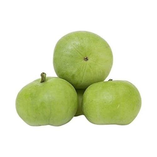 Green Tinda Fruits Seeds – Heirloom, Non-GMO, High Germination Organic Garden Seeds