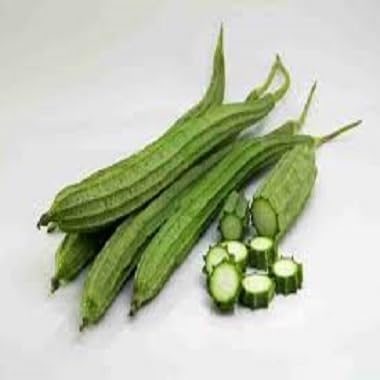 Green Ridge Gourd Seeds – Heirloom, Non-GMO, High Germination Organic Garden Seeds Planting