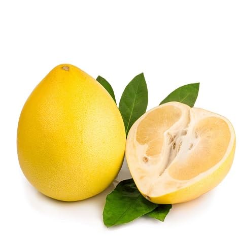 Pomelo Seeds – Heirloom, Non-GMO, High Germination Organic Garden Seeds