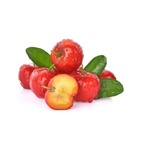 Barbados Cherry Seeds – Heirloom, Non-GMO, High Germination Organic Garden Seeds for Planting Seeds for Planting