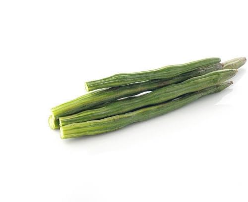 Drumstick Seeds – Heirloom, Non-GMO, High Germination Organic Garden Seeds Planting