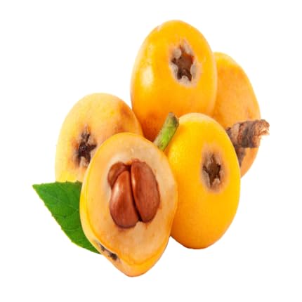 Yellow Medlar Seeds – Heirloom, Non-GMO, High Germination Organic Garden Seeds