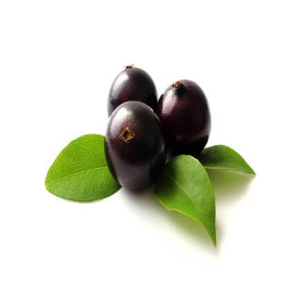 Black Jabuticaba Seeds – Heirloom, Non-GMO, High Germination Organic Garden Seeds