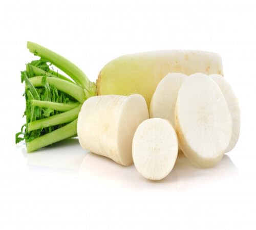 White Radish Seeds – Heirloom, Non-GMO, High Germination Organic Garden Seeds Planting