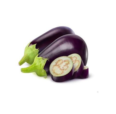 Violet Eggplant Seeds – Heirloom, Non-GMO, High Germination Organic Garden Seeds Planting