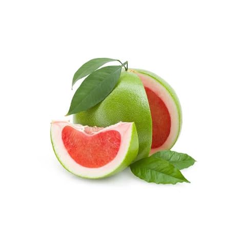 Green Pomelo Seeds for Planting – Heirloom Non-GMO High Germination Organic Garden Seeds