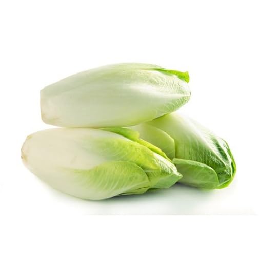 Green Endive Seeds – Heirloom, Non-GMO, High Germination Organic Garden Seeds Planting