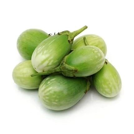Green Eggplant Seeds – Heirloom, Non-GMO, High Germination Organic Garden Seeds Planting
