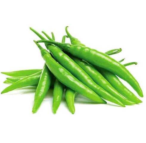 Green Chilli Seeds – Heirloom, Non-GMO, High Germination Organic Garden Seeds Planting