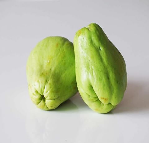 Chayote Seeds – Heirloom, Non-GMO, High Germination Organic Garden Seeds Planting