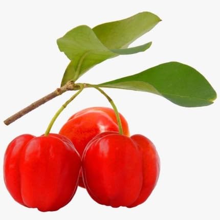 Red Surinam Seeds – Heirloom, Non-GMO, High Germination Organic Garden Seeds