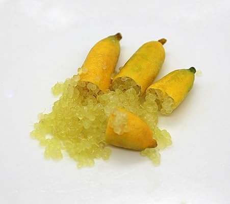 Yellow Finger Lime Seeds – Heirloom, Non-GMO, High Germination Organic Garden Seeds