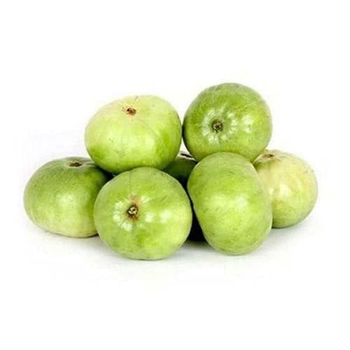 Green Tinda Seeds – Heirloom, Non-GMO, High Germination Organic Garden Seeds Planting