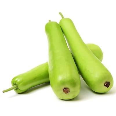 Bottlegourd Green Seeds – Heirloom, Non-GMO, High Germination Organic Garden Seeds Planting