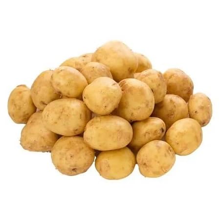 Potato Seeds – Heirloom, Non-GMO, High Germination Organic Garden Seeds Planting