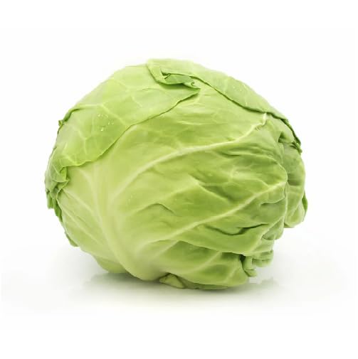Green Cabbage Seeds – Heirloom, Non-GMO, High Germination Organic Garden Seeds Planting
