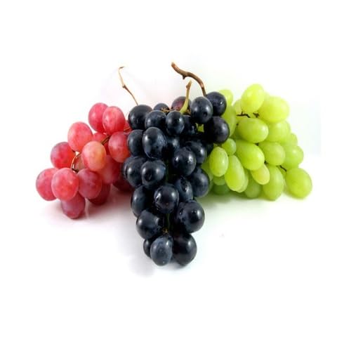 Mixed Grapes Seeds Heirloom Non-GMO High Germination Organic Garden Seeds for Planting