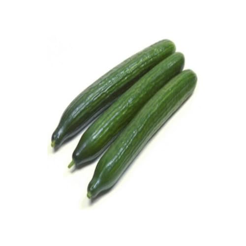 Green Long Cucumber Seeds – Heirloom, Non-GMO, High Germination Organic Garden Seeds Planting
