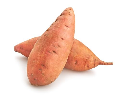 Brown Sweet Potato Seeds – Heirloom, Non-GMO, High Germination Organic Garden Seeds Planting