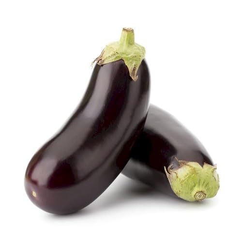 Eggplant Seeds – Heirloom, Non-GMO, High Germination Organic Garden Seeds Planting