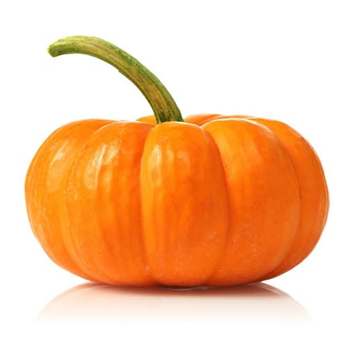 Pumpkin Seeds – Heirloom, Non-GMO, High Germination Organic Garden Seeds Planting