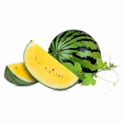 Yellow Watermelon Seeds for Planting | Heirloom Non-GMO Organic Garden Seeds