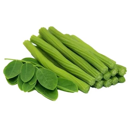 Moringa Seeds – Heirloom, Non-GMO, High Germination Organic Garden Seeds Planting