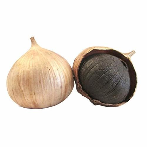 Schwarzer Knoblauch Samen – Alte Sorte, Non-GMO, hohe Keimrate, Bio Garten Samen zum Anpflanzen