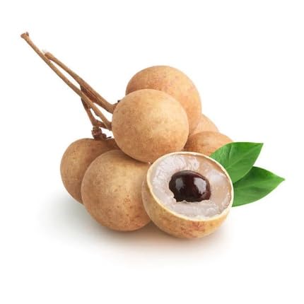 Brown Longan Seeds – Heirloom, Non-GMO, High Germination Organic Garden Seeds