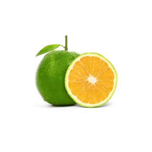 Green Orange Seeds – Heirloom, Non-GMO, High Germination Organic Garden Seeds