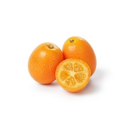 Yellow Kumquat Seeds – Heirloom, Non-GMO, High Germination Organic Garden Seeds