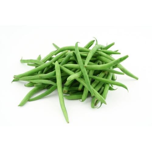 Green Bean Seeds – Heirloom, Non-GMO, High Germination Organic Garden Seeds Planting